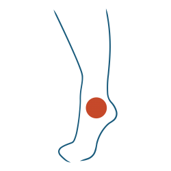 Services Icon-38