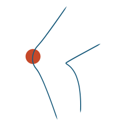 Services Icon-41